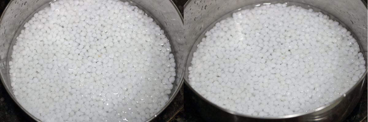 Sabudana soaking in water.