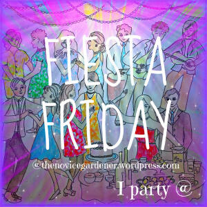 Fiesta Friday