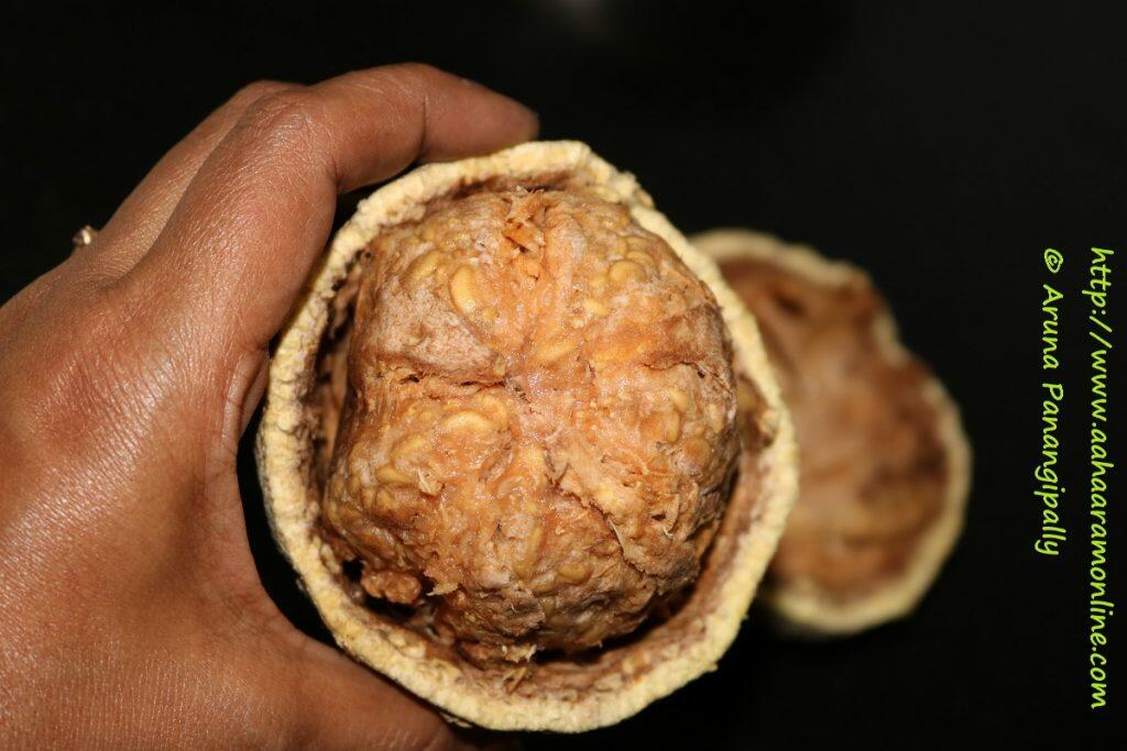 Velakkaya | Wood Apple