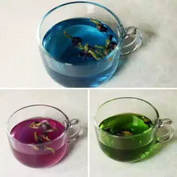 Shankhapushpi Tea or Butterfly Pea Flower Tisane Made 3 Ways: Plain, with Lemon, and with Saffron