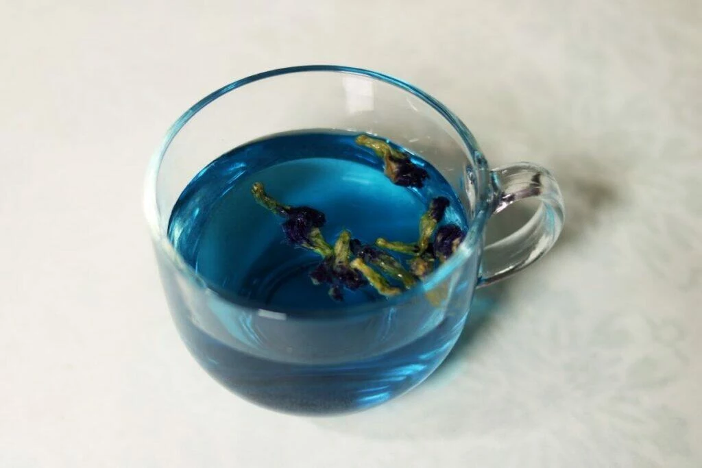 A cup of Butterfly Pea Flower Tisane, called Shankhapushpi Tea in India.
