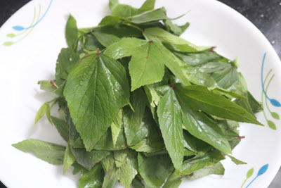 Fresh Gongura leaves