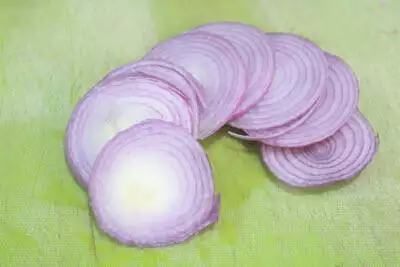 Onion cut into discs